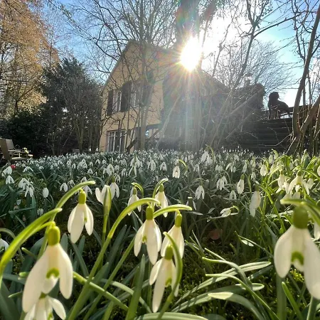 Hr Am Honigbach Holiday home *