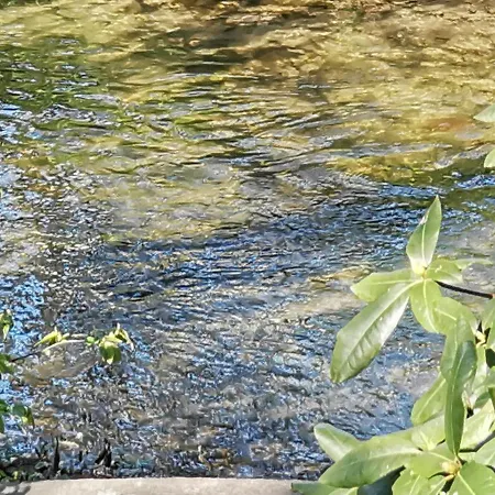 Hr Am Honigbach Feriehus *