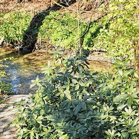 Hr Am Honigbach Nyaraló Coesfeld