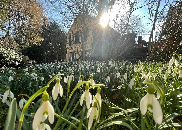 Hr Am Honigbach Vakantiehuis *