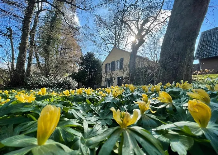 Hr Am Honigbach Casa vacanze