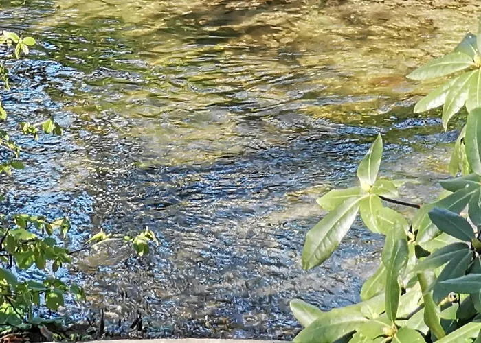 Hr Am Honigbach Nyaraló *