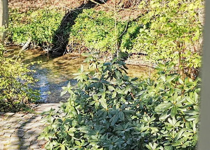 Hr Am Honigbach Feriehus Coesfeld